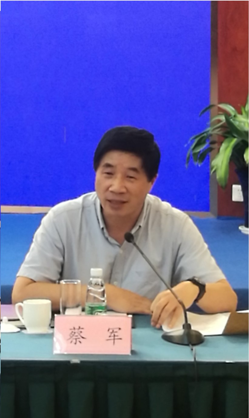 组委会副主任,上海市交通委员会副主任蔡军