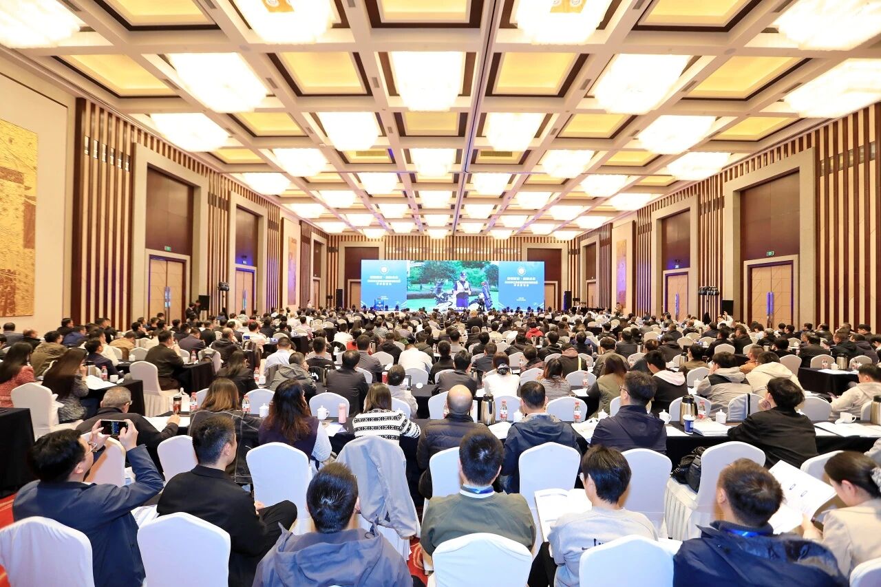 1761529006832143.jpg 001.jpg