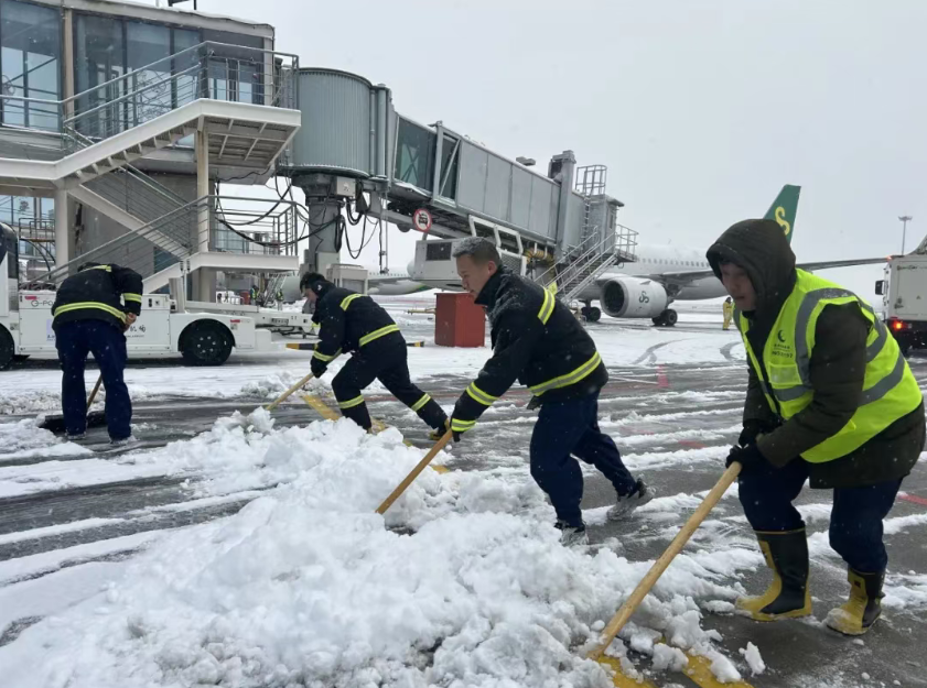 1768964422212303.png 65c153dca7c3ebd4b8be33cf4e8258f6.png